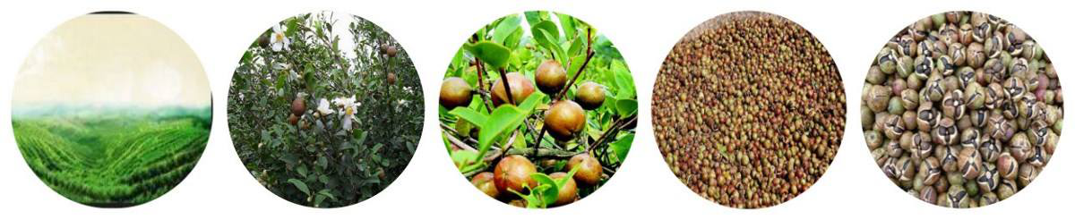 长沙包装设计印刷