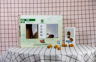高山杨梅水果包装盒