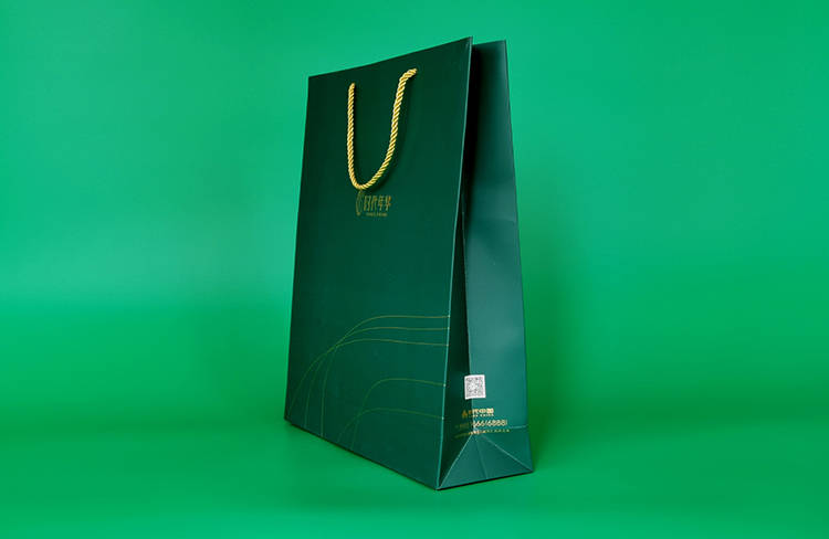 时代年华地产手提袋1