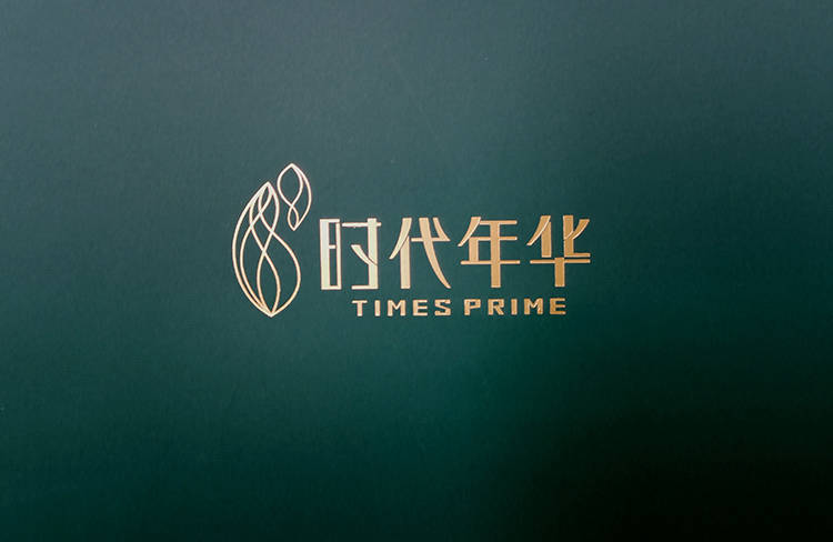 时代年华地产手提袋3