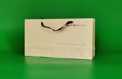 时代中国地产手提袋