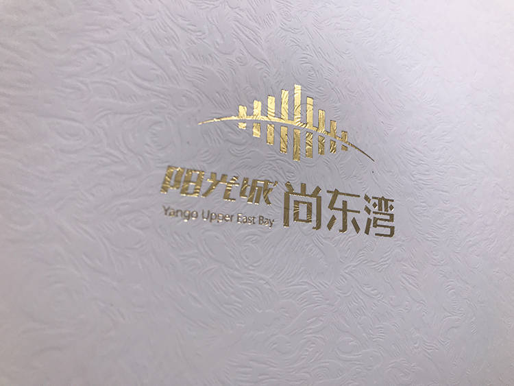 阳光城尚东湾地产手提袋4