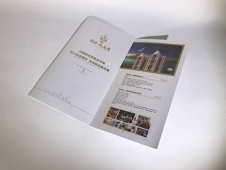 国泰九龙湾折页1