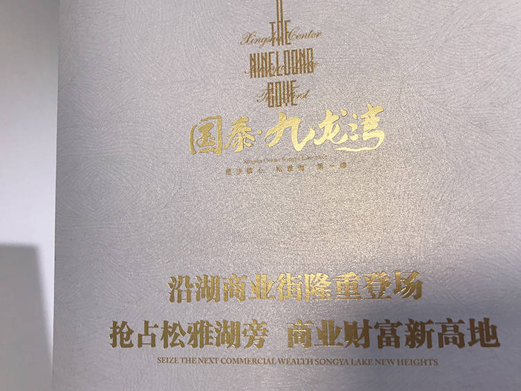 国泰九龙湾折页3