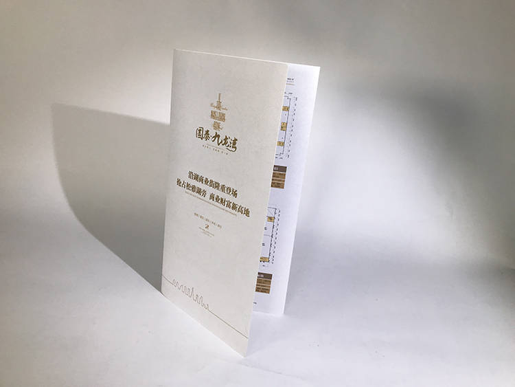 国泰九龙湾折页4