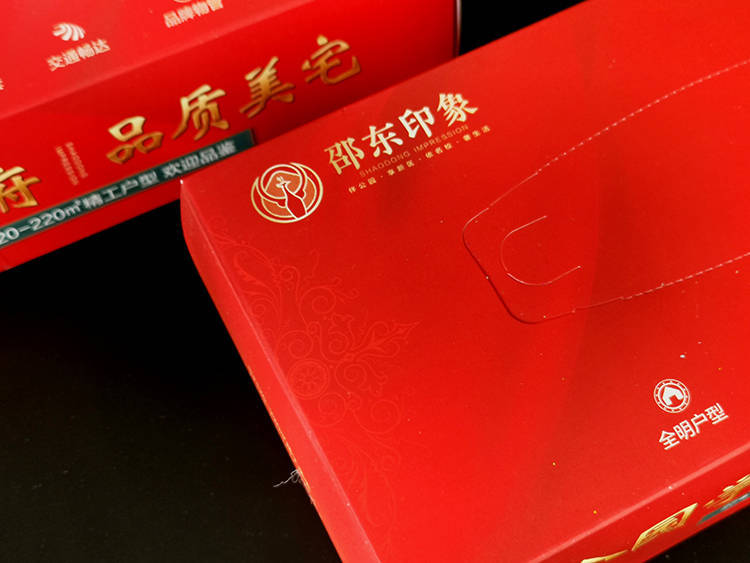 邵东印象纸巾盒4