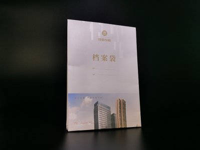 隆信华府档案袋