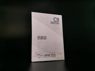 双府国际档案袋