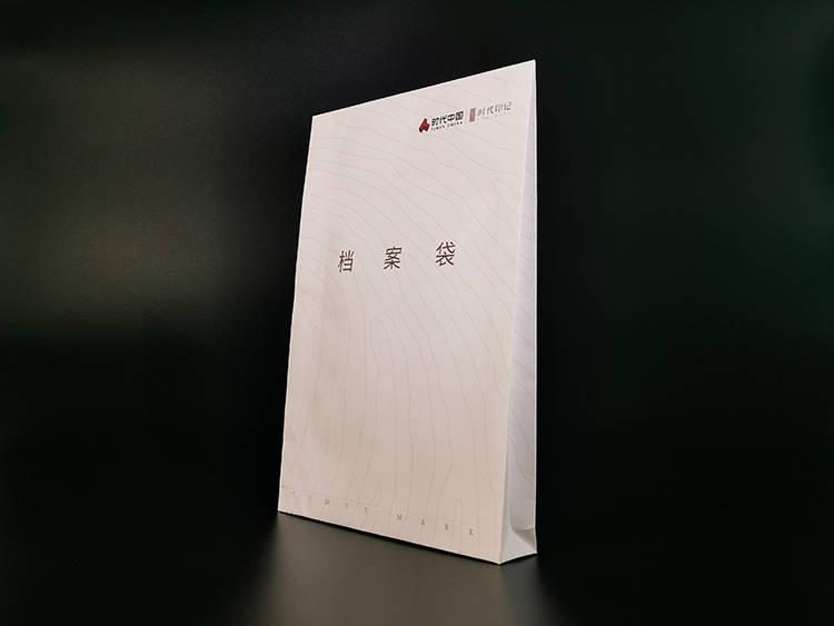 时代印记档案袋2