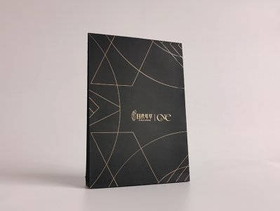 时代年华档案袋