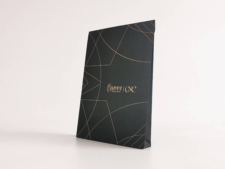 时代年华档案袋2