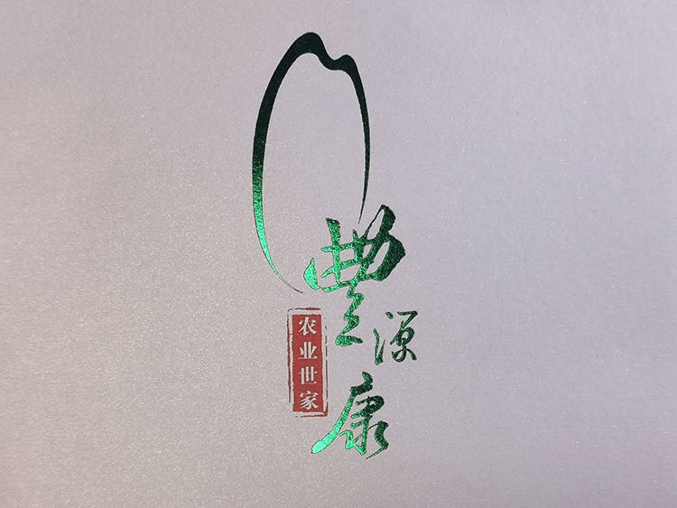 丰源康珠光纸手提袋4