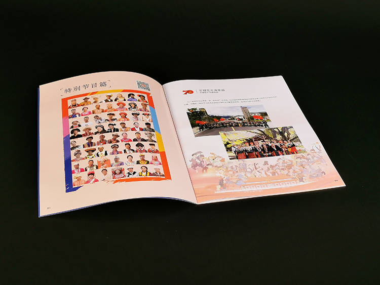 芒果TV石榴花开画册2