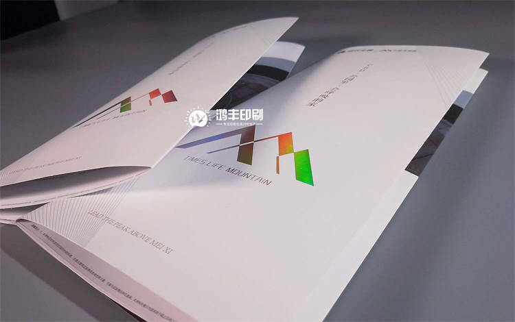 时代中国宣传折页2