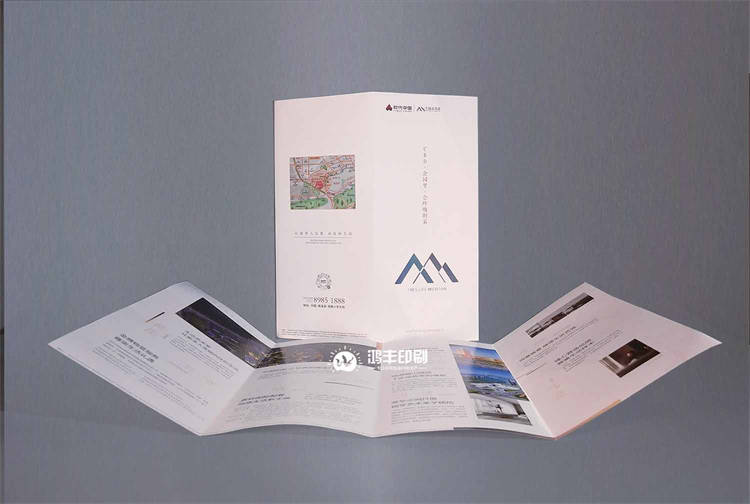 时代中国宣传折页1